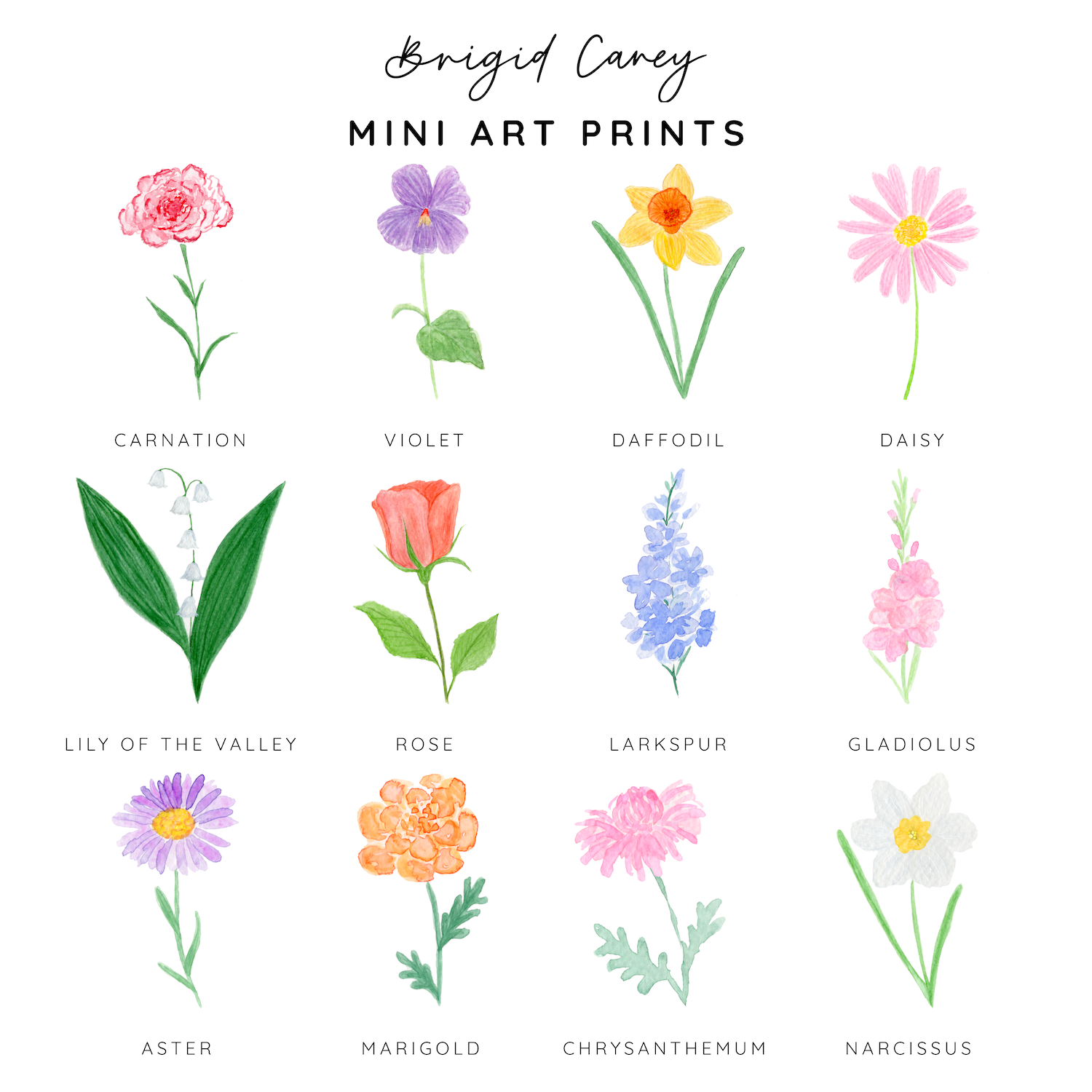 Illustrations of 12 birth month flowers with labels and the artist's name at the top.